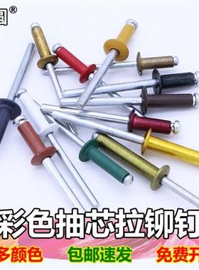 彩色烤漆咖啡 古铜 香槟 金黄 黑 白 红 绿 灰色抽芯拉铆钉柳钉铝