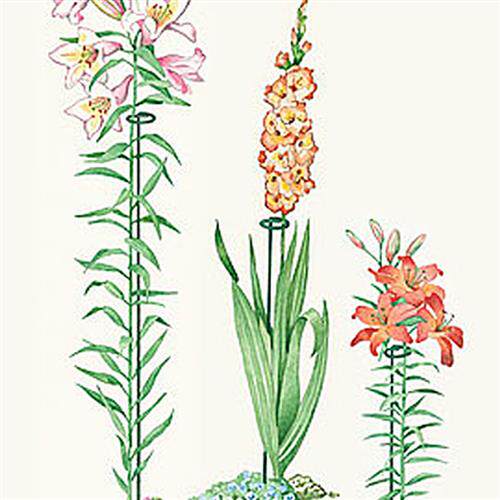 促销园艺支柱铁艺花架 花盆支架爬藤架攀爬架 花支撑架 撑花支架