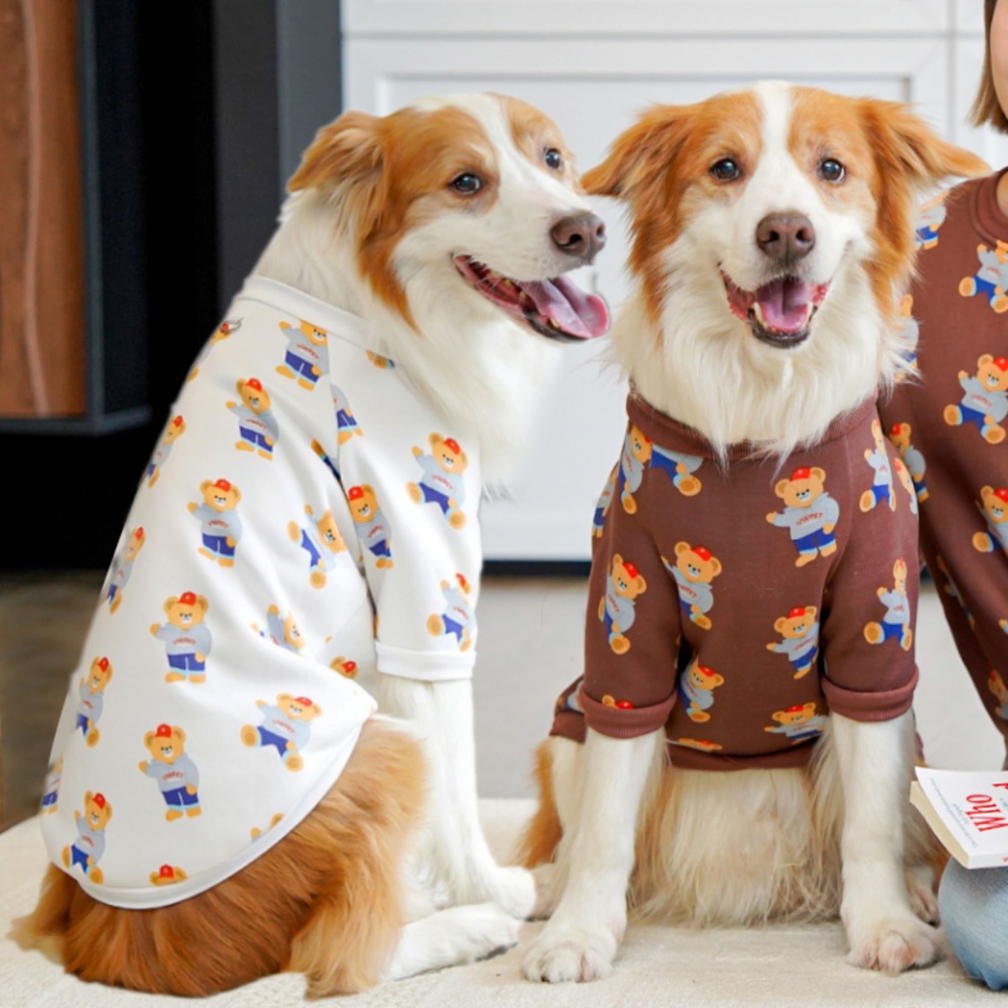 宠物边牧狗狗衣服2025新款秋冬装拉布拉多金毛柯基大型犬薄绒卫衣