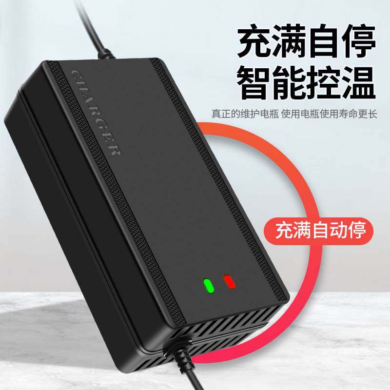 蒲公英适用电动车电瓶充电器48V12AH20AH60V72V30A电车三轮车通用
