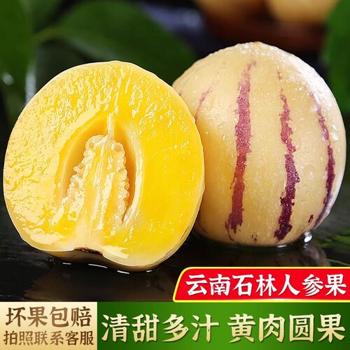 树上熟云南石林人参果清甜多汁黄肉圆果应季孕妇水果原产地包邮