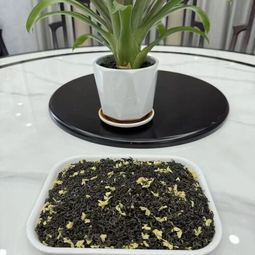 马阳甄选2026茉莉花茶茉莉飘雪浓香型支持打开免费试喝