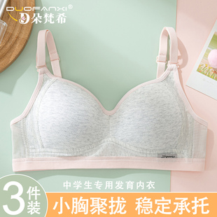 小胸聚拢文胸罩 薄款 2025秋冬新款 内衣女大学生初中高中生少女夏季