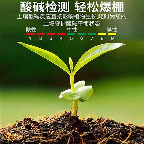 土壤酸碱度检测仪园艺花盆泥土传感器ph值测试仪水分高精度湿度计