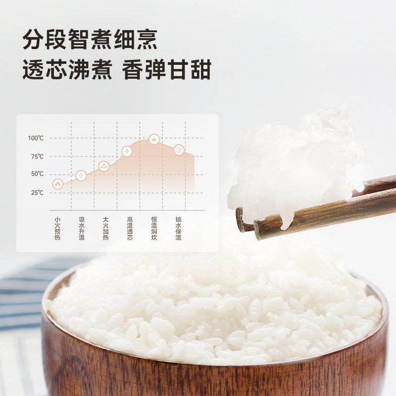 无重金属迷你电饭煲陶瓷内胆天际婴儿蒸米饭煮粥电饭锅全自动陶土