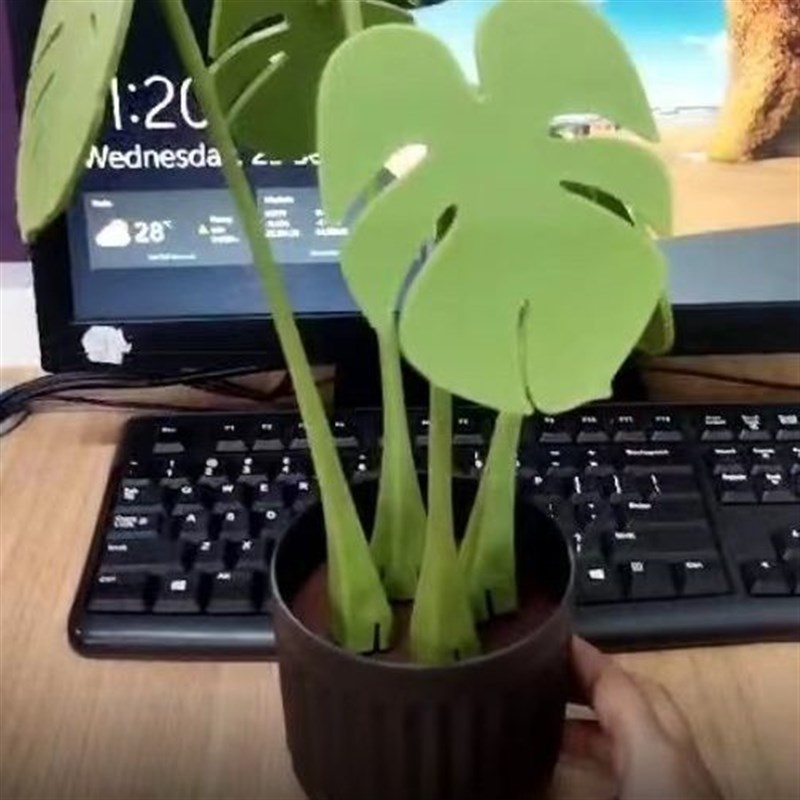 龟背竹杯垫创意餐桌摆件仿真绿植植物盆栽磁吸隔热垫树叶子防烫垫