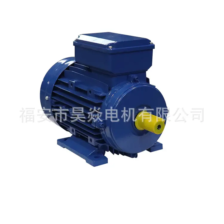 MY100L1-4单相异步电机2.2kw4极F