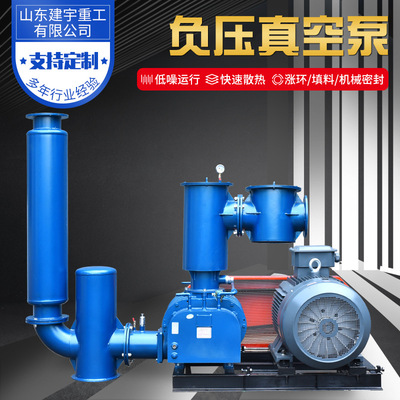 负压真空泵罗茨鼓风机真空设备