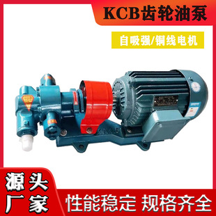 铸铁淬火耐磨KCB55 200 300 633齿轮油泵自吸泵抽油泵 83.3