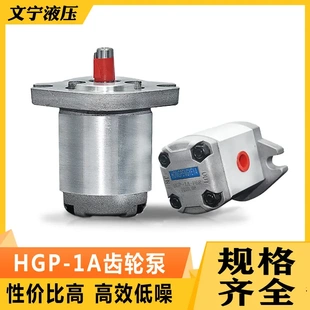 F2R F3R F8R F10R F6R F1R F5R 噪音低高压齿轮泵HGP F4R