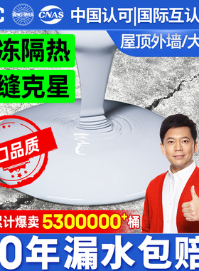 沃特浦屋顶防漏防水胶补漏裂缝渗水房顶漏水专用材料楼顶堵漏涂料