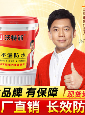 沃特浦防水涂料屋顶材料楼顶房顶漏水专用防漏防水胶补漏裂缝渗水
