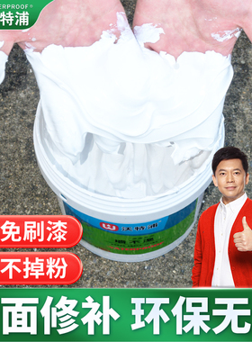 沃特浦补墙膏墙面修补材料防水免漆补墙膏家用白色防霉抗碱腻子膏