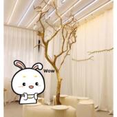 去皮干树枝造景干枝树干许愿树枯树室内造型树枝干原木树枝装 饰树