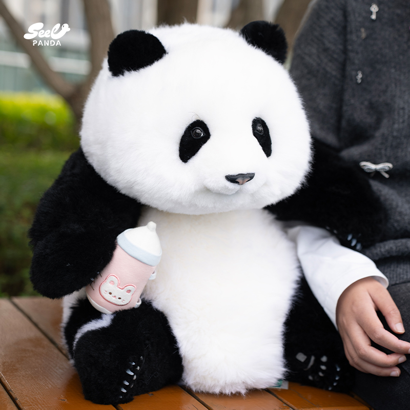 西柚熊猫花花熊猫玩偶六月龄