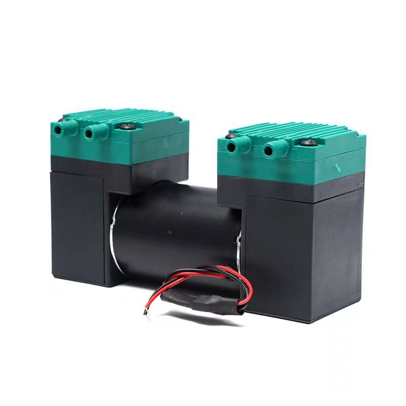 新款2AP51-1双头微型隔膜DC12V小型气磅喷枪抽打两用真空电动静音