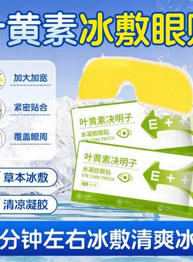 【20只装】15分钟快速降温眼罩