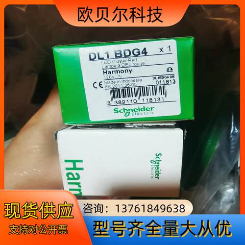 开关DL-1BDG4