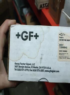 GF 385501P 乔治费歇尔 变送器