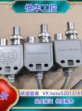 罗克韦尔AB通讯线1786-TPYS/C    标题