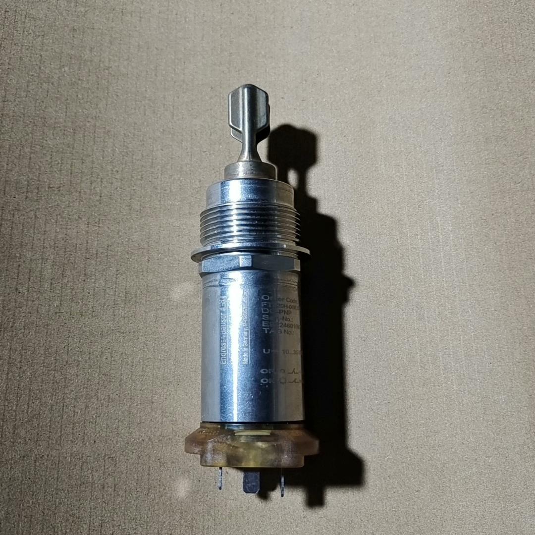 （设备配件）EH音叉液位开关FTL20H-0GEJ2E