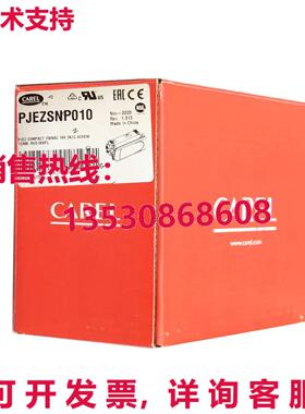 原装供应CAREL恒温器PJEZSNP010
