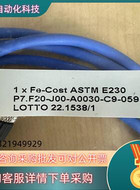 现货ELSI 热电偶 P7.F20-J00-A0030-C9-0