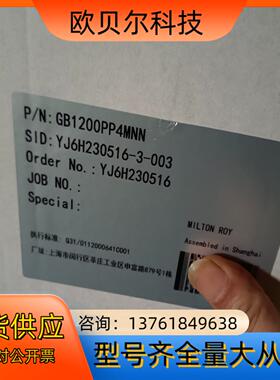 米顿罗 计量泵  GB1200PP4MNN