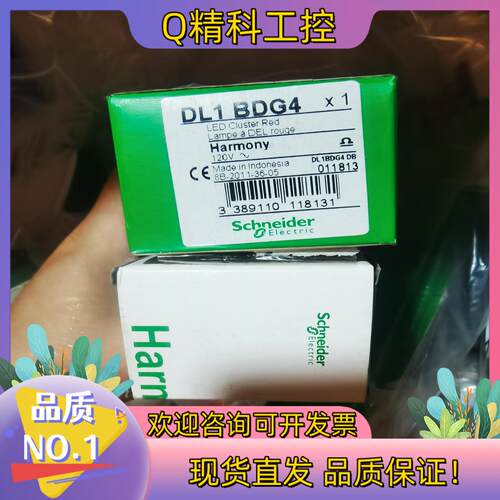 现货开关DL-1BDG4