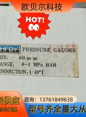 HFDY压力表HFDY压力表，口径60m/m,0-1bar,