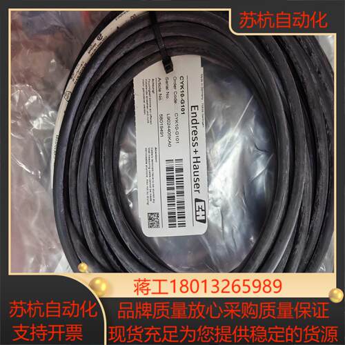 eh PH电极连接线CYK10-G101 全新剩余5根议价