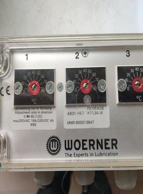 WOERNER威纳温度传感器