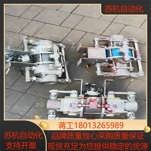 ANEST IWATA 岩田BSP系列波纹管密封泵BSP-A议价