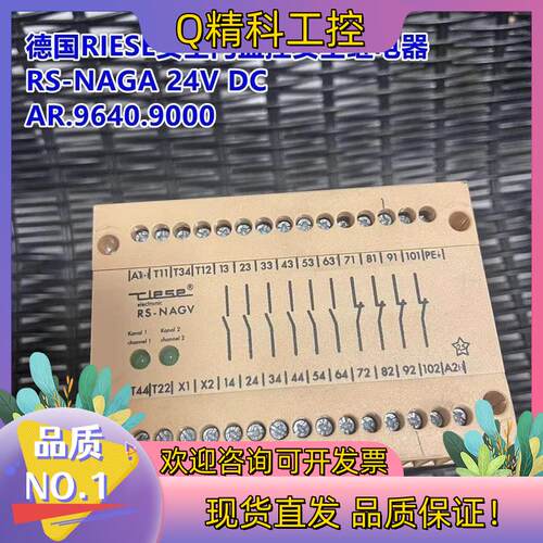 现货德国RIESE安全门监控安全继电器 RS-NAGA 24