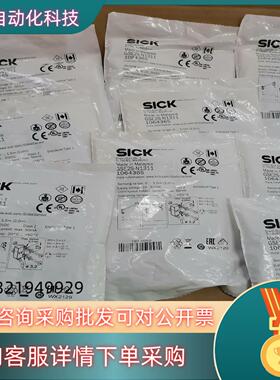 现货GSE2S-D1311+ GSE2S-N1311西克sick