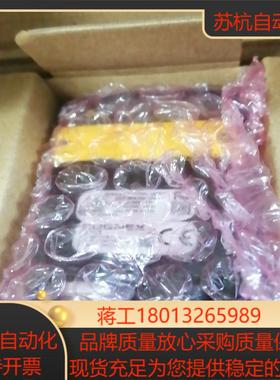 康耐视DM262X-1110-P读吗器