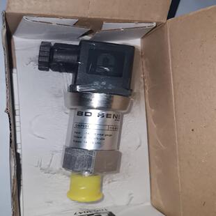 110M16变送器 压力BDSENSORS德国DMP331 德峰