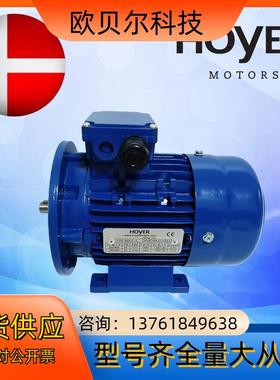 霍尔HOYER电机MS5624 7124 8024 90L4