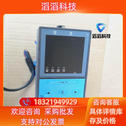 现货 大延 DY2000 温控仪表功能好的