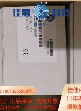 GE 模块 IC200CHS002
