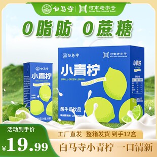 白马寺新日期厂家直销青柠风味酸牛奶饮品发酵型乳饮料火锅搭子
