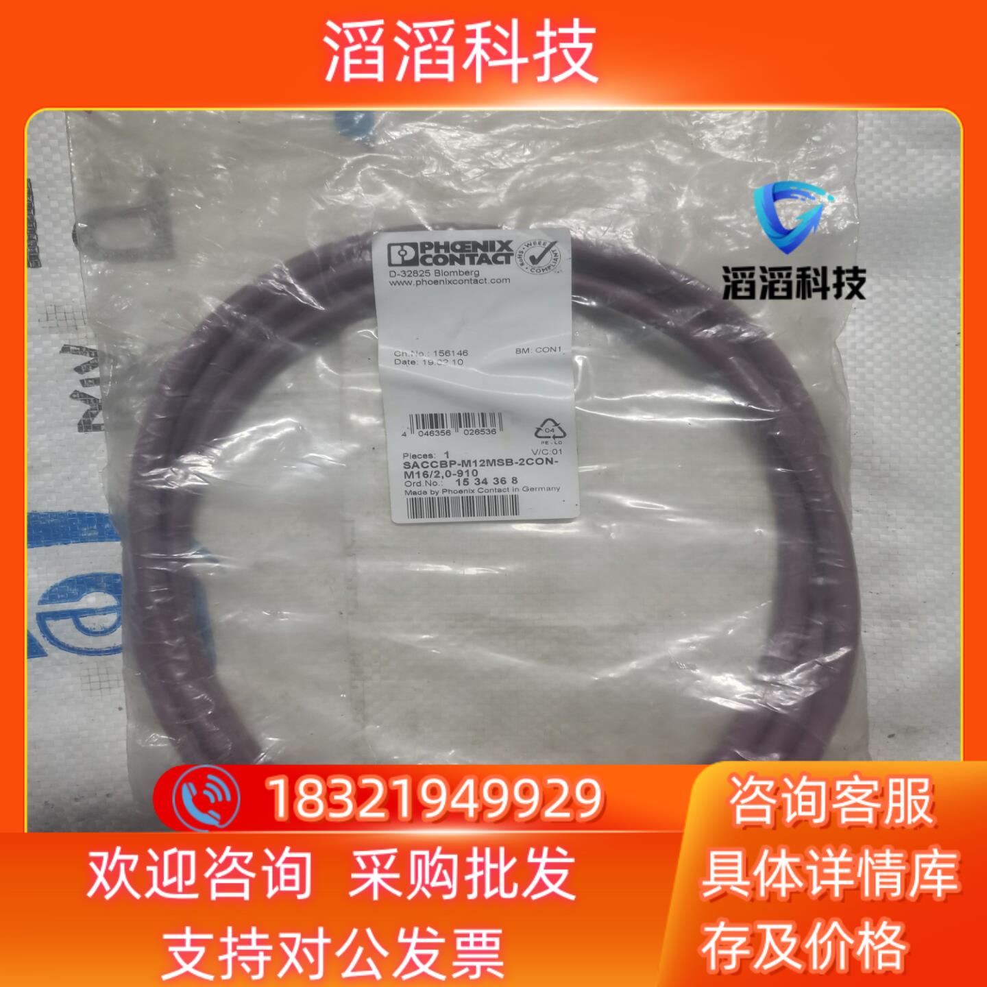 现货英尼克斯156146 SACCBP-M12MSB-2CON-