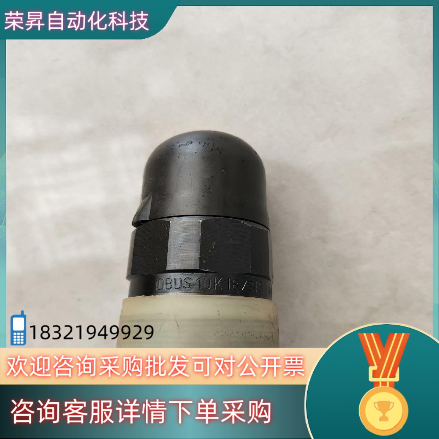 力士乐DBDS10K18/315全新