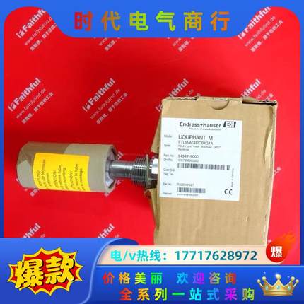 E+H FTL51-AGR2DB4G4A 恩德斯豪斯全新音叉议价