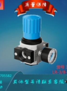 FESTO/费斯托 减压阀 LR-3/8-D-7-MIDI 162585