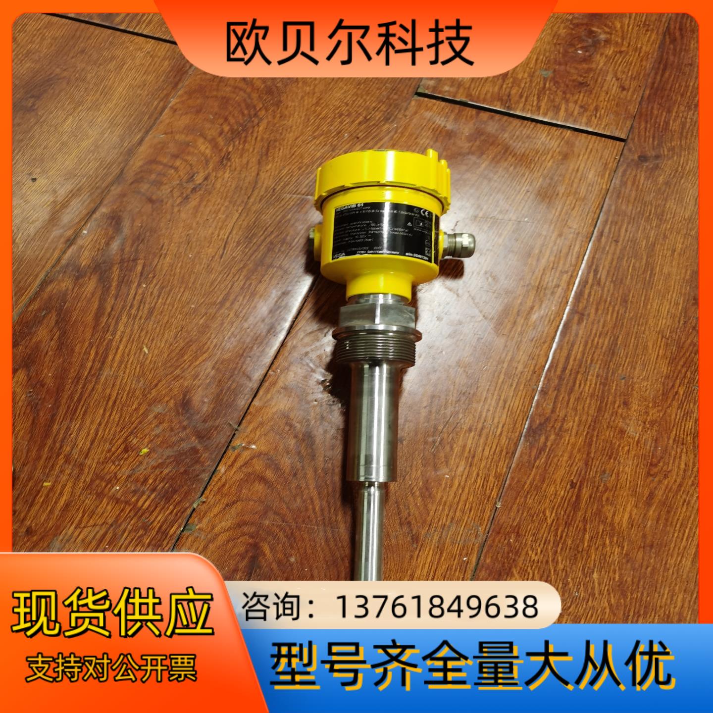 VEGAVIB61 VB61.GXAGDTAMX 液位计拆机