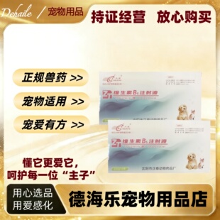 大成维生素B6注射液2ml十支宠物适用皮炎周围神经炎医院同款正品