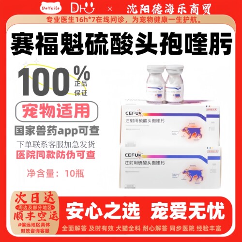 猫鼻支口炎狗手术后消炎泌尿感染