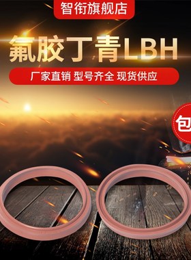 液压防尘圈LBH23.5/25/28/30/31.5/32/35/35.5/38氟胶气缸防尘圈
