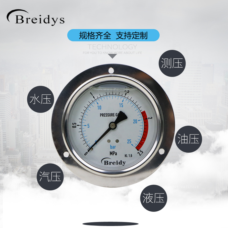 YN100ZT压力表轴向带边不锈钢压力表0-1.6mpa气压水压液压真空表